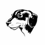 _images/dachshund.jpg